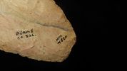 5 1/4" x 2 3/8" Knife Blade, Found in Adams Co. Illinois by Art Lepper on his farm south of Image - 4
