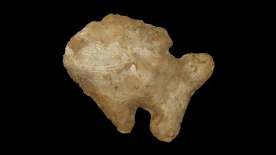 2 1/2" x 2" Thebes, Found in Pike Co. Illinois by Lawrance Crook of Berry Illinois sometime 