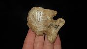 2 1/2" x 2" Thebes, Found in Pike Co. Illinois by Lawrance Crook of Berry Illinois sometime Image - 1