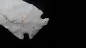 3 3/8" Archaic Serrated Classic Corn Notched, Found in Adams Co. IL, Ex. Herb Mangold CollectionImage - 5