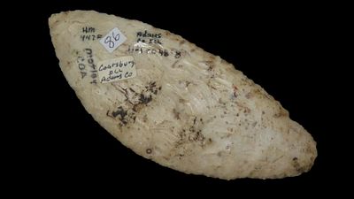 5" x 2" Ovoid Knife, Motley COA, Found in Adams Co. Illinois, Made of Burlington Chert. Ex. 