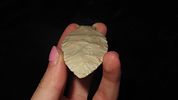 3 7/16" x 1 5/16" Table Rock, Motley COA, Found in Greene Co., MissouriImage - 3