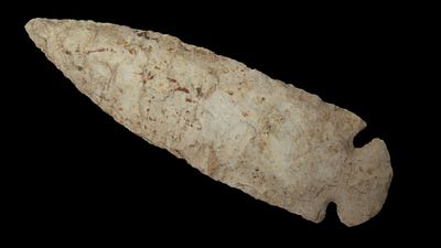 3 3/4" x 1 3/16" Dovetail, Motley COA, Found in Adams County, Illinois