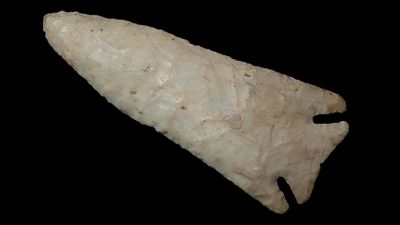 3 11/16" x 1 9/16" Pulaski, Motley COA, Found in Osage County, Missouri