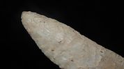 3 11/16" x 1 9/16" Pulaski, Motley COA, Found in Osage County, MissouriImage - 4