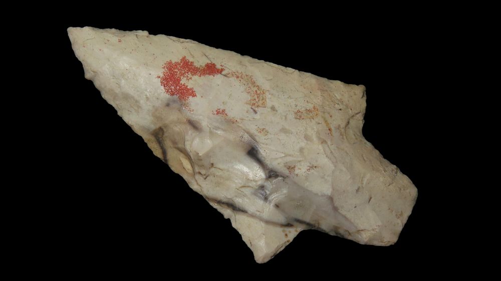 2 7/8" Dickson Point, Central Texas