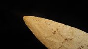 5” Adena Point, Clark County Mo. Ex-Bud GoodwinImage - 3