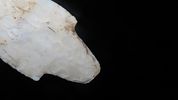 3 5/8” Adena Point, Greene County, IllinoisImage - 4