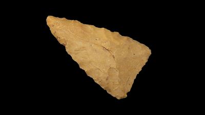 1 5/8” Triangular Point, Cross County, Arkansas