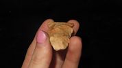 2 1/8" x 1 1/4" Pink Shades, Raddatz, Yellow Jasper, Stoddard Co. MissouriImage - 3