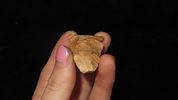 2 1/8" x 1 1/4" Pink Shades, Raddatz, Yellow Jasper, Stoddard Co. MissouriImage - 4