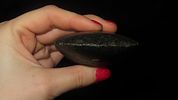 4 3/8” Square Sided Celt, Fulton County, IllinoisImage - 3
