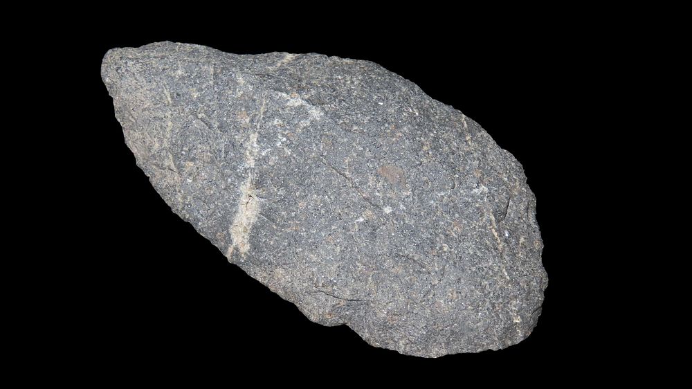 4 1/8” Paleo Blade, Northwest