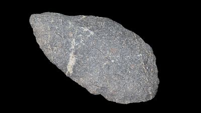 4 1/8” Paleo Blade, Northwest