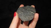 4 1/8” Paleo Blade, NorthwestImage - 5