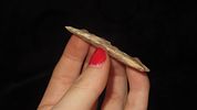 2 1/4” Serrated Angostura PointImage - 2