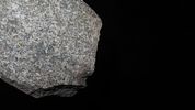 5 3/4" Hardstone Broken Mano, Found in Saline Co. MissouriImage - 4