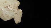 4 1/4" Heartbreaker Thebes Point, Found in Cooper Co. MissouriImage - 4