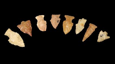 Rose Spring Stem and Rose Spring Points