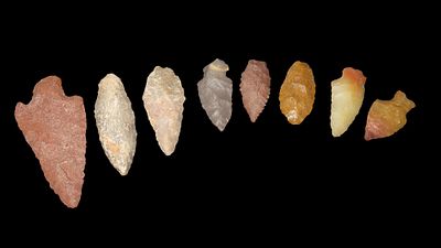 Lot of Miliouse Points, from South Central Texas