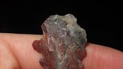 1 3/4" Guadelupe Point, Great Material, Well Made PointImage - 5