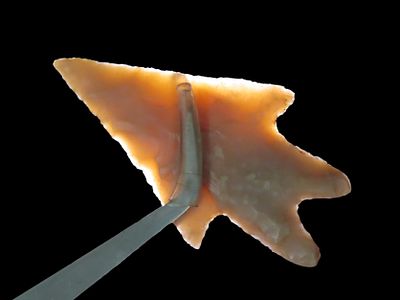 2 3/4" Pedernalas Point