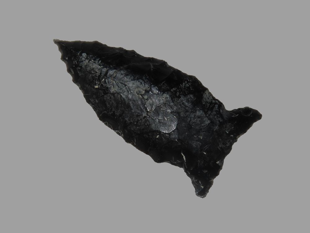 2 1/8" Elbow Point, Lake County, Oregon