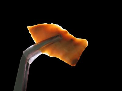 1 5/8" Archaic Dart, El Paso County Texas