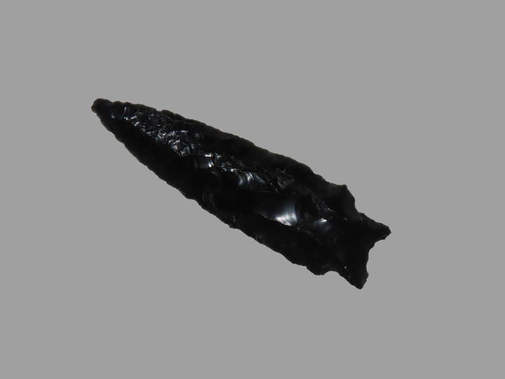 2 1/16" Elko Eared, Lake County, Arkansas