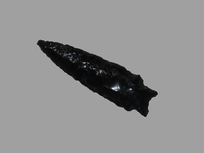 2 1/16" Elko Eared, Lake County, Arkansas