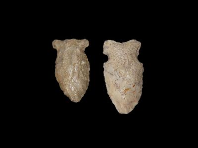 Lot of 2 Side Knotch Points, Illinois