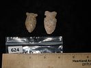 Lot of 2 Side Knotch Points, IllinoisImage - 2