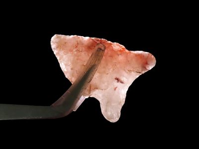 Lot of 2 Quartzite Points, Archaic, Virginia