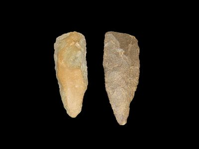 Lot of 1 Blade, and 1 Polished Adz from Tennessee