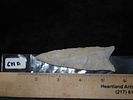 3 3/4" Dalton, Jeff Baker COA, IllinoisImage - 7