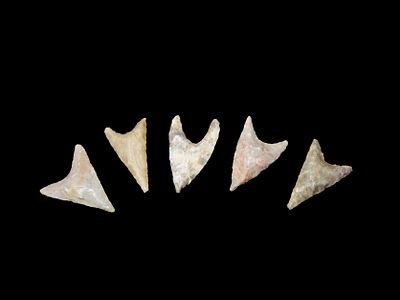 Lot of 5 Neolithic Points, Sierra Desert