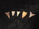 Lot of 5 Concave Neolithic PointsImage - 2