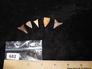 Lot of 5 Concave Neolithic PointsImage - 4