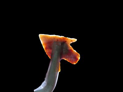 Lot of 5 Neolithic Points, Sierra Desert