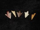 Lot of 5 Neolithic Points, Sierra DesertImage - 5