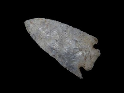 3 3/8" x 1 3/4" Pulaski, Burlington Chert, Sullivan Co. Missouri, Motley COA