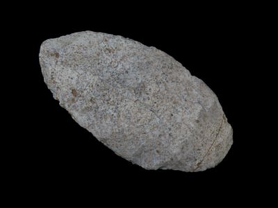 3 3/4" x 1 15/16" Early Ovoid, Burlington Chert, Milan Missouri, COA Keele