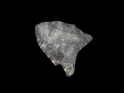 1 1/4" San Patrice, Fluted Paleo, Form of Prenters Chert, Arkansas