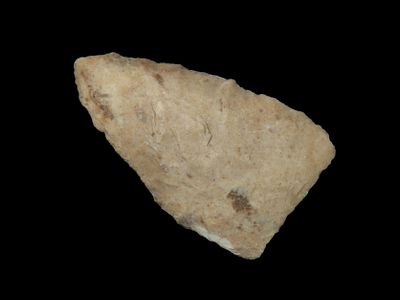 2 3/16" x 1 5/16" Sloan, Burlington Chert, Boone Co. Missouri, Motley / Leithoff COA