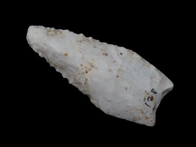 2 9/16" x 1 1/16" Searcy, Burlington Chert, Southwest Missouri, Motley / Leithoff COA