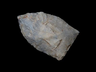 1 7/8" x 1 3/16" Hinds, Hornstone Chert, Tennessee, Motley / Leithoff COA