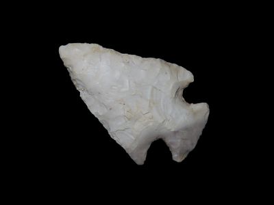 1 9/16" x 1" Sequoyah, Burlington Chert, Saline Co. Missouri, Motley / Leithoff COA