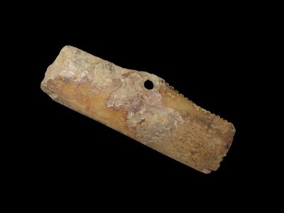 Bone Gorget/Pendant with Tally Marks. Found in Tennessee, Ex Parker