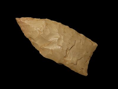 1 1/4" Paleo, Alabama, Ex Walt McIntire