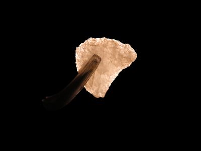 3/4" Late Almance/Clovis. 12,000-10,000 BP. Crystal Quartz. Marvin Farm/Beaver Site. Attleboro 